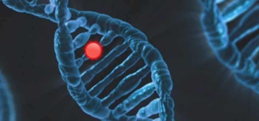 FDA Approves Priority Review Status to PTC Therapeutics’ BLA for Upstaza